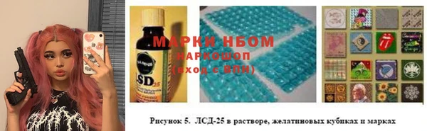 тгк Магадан