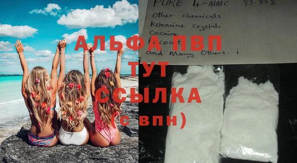 мдпв Магас