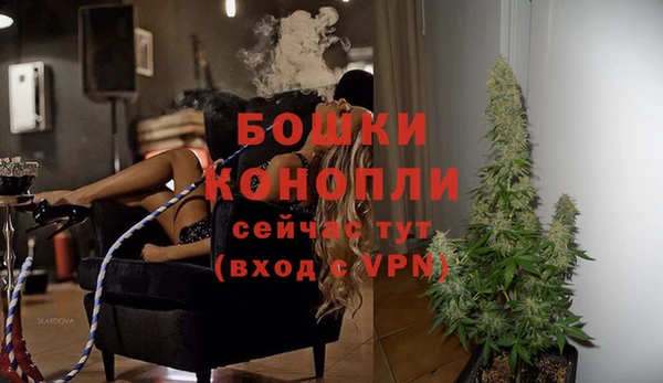мдпв Магас
