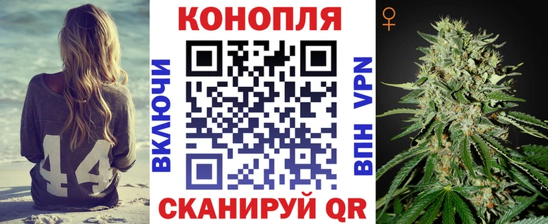 магазин    Шилка  Бошки марихуана Ganja 