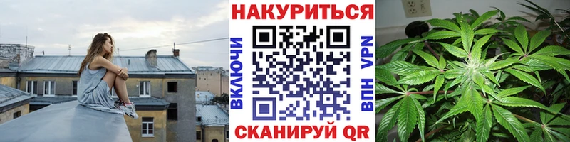Шишки марихуана Amnesia Шилка